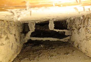 Signs of Pests or Mold in Your Air Ducts | Air Duct Cleaning Simi Valley, CA