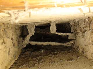 Signals of Pests or Mold in Your Air Ducts | Air Duct Cleaning Simi Valley, CA